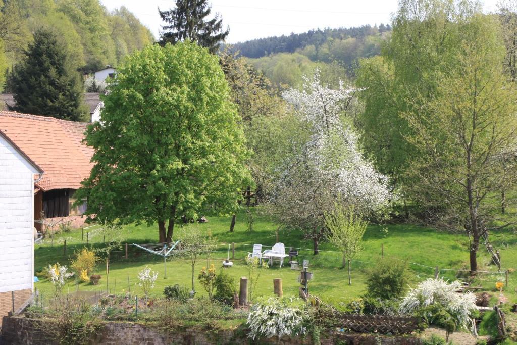 Gasthof Zur Traube Finkenbach Rum bild